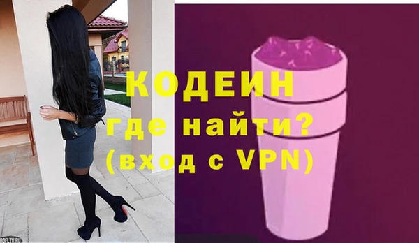 гашик Инта