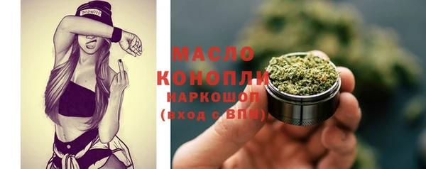 гашик Инта