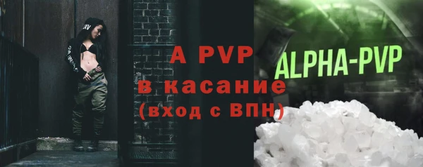 гашик Инта