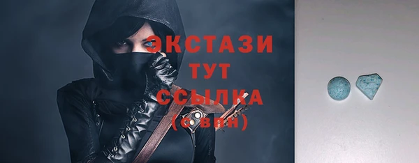 гашик Инта