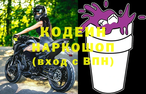 гашик Инта