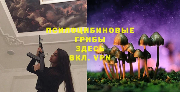 гашик Инта