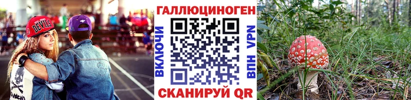 Купить  Десногорск  Псилоцибиновые грибы ЛСД 